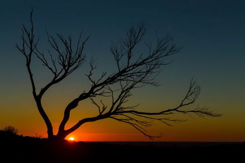 Eldee Station Accommodation, Caravan And Campsites - QLD Tourism 10