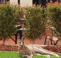 Alpha Canberra Hotel and Apartments - QLD Tourism