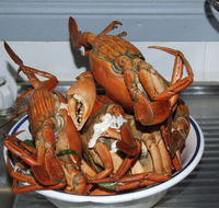 King Ash Bay Lodge - QLD Tourism