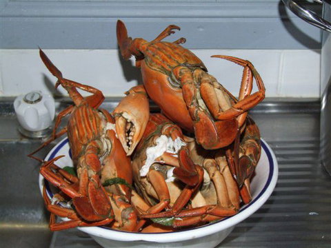 King Ash Bay Lodge - QLD Tourism 0