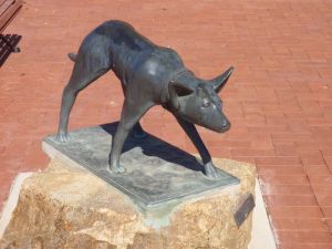 The Ardlethan Kelpie Caravan Park - Queensland Tourism 0