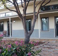 The Grape and Olive in Willunga - QLD Tourism