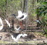 Rakhi Retreat - QLD Tourism