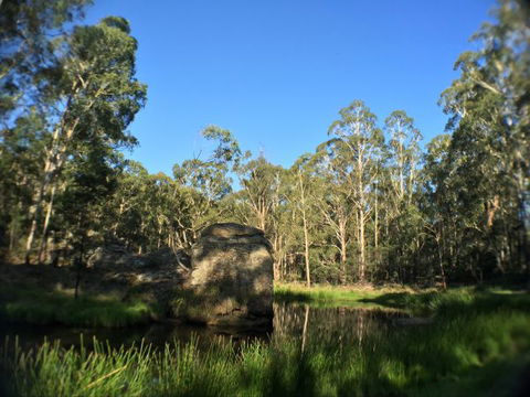 Wilderness Bunkhouse - Queensland Tourism 3