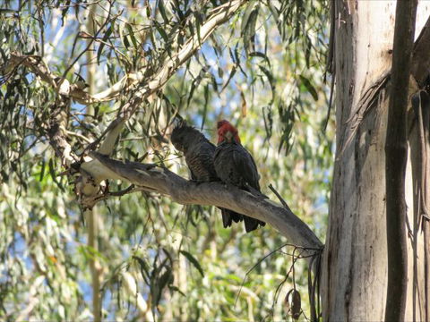 Wilderness Bunkhouse - Queensland Tourism 4