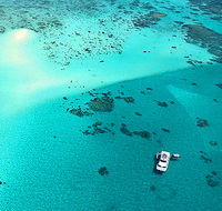 Cairns Premier Reef and Island Tours - Ocean Free  Ocean Freedom - Queensland Tourism