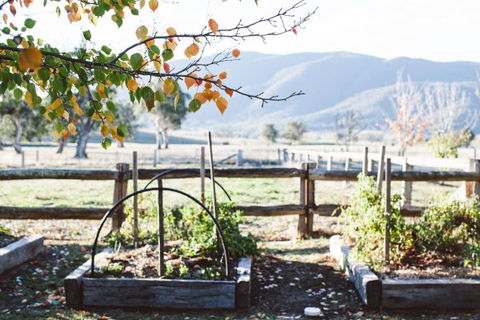 Alpine Edge Accommodation - QLD Tourism 5