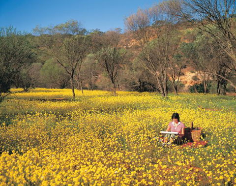 Wolfe Creek Crater Camp At Wolfe Creek Crater National Park - QLD Tourism 20