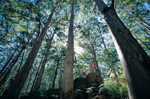 Wolfe Creek Crater Camp At Wolfe Creek Crater National Park - QLD Tourism 4