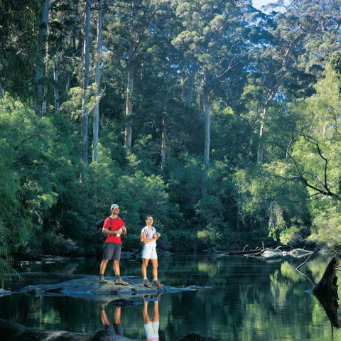 Wolfe Creek Crater Camp At Wolfe Creek Crater National Park - QLD Tourism 11
