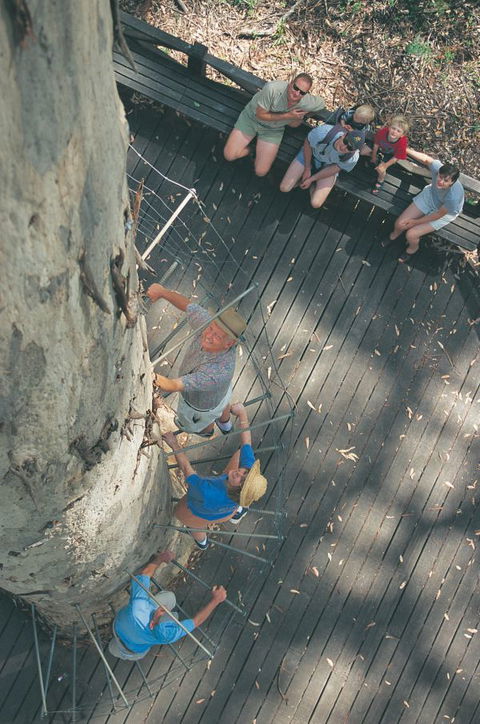 Wolfe Creek Crater Camp At Wolfe Creek Crater National Park - QLD Tourism 12
