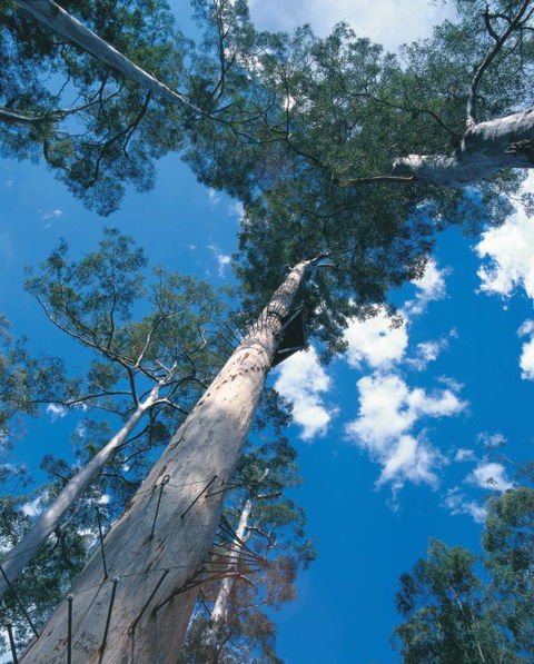 Wolfe Creek Crater Camp At Wolfe Creek Crater National Park - QLD Tourism 13