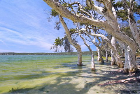 Wolfe Creek Crater Camp At Wolfe Creek Crater National Park - QLD Tourism 21