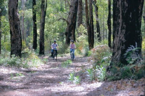 Wolfe Creek Crater Camp At Wolfe Creek Crater National Park - QLD Tourism 38