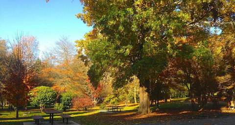Eastern Dandenong Ranges Visitor Information Centre - QLD Tourism 1