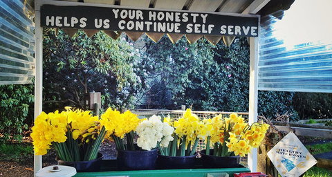 Eastern Dandenong Ranges Visitor Information Centre - QLD Tourism 6