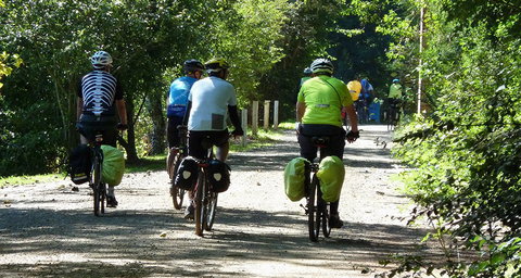 Eastern Dandenong Ranges Visitor Information Centre - QLD Tourism 8