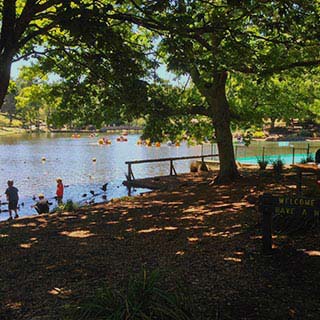 Eastern Dandenong Ranges Visitor Information Centre - QLD Tourism 10