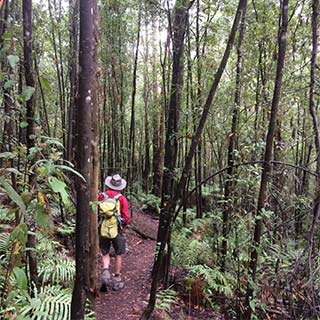Eastern Dandenong Ranges Visitor Information Centre - QLD Tourism 12