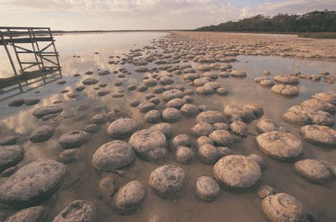 Wolfe Creek Crater Camp At Wolfe Creek Crater National Park - QLD Tourism 22