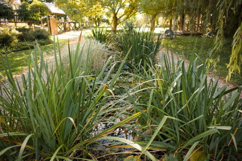 Old Stone House, The - QLD Tourism 1