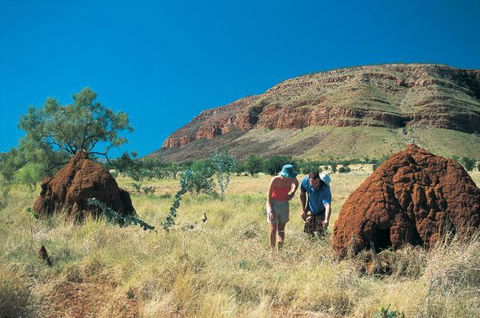 Wolfe Creek Crater Camp At Wolfe Creek Crater National Park - QLD Tourism 19