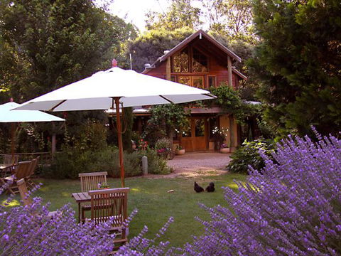 Lavender Hue - QLD Tourism 0
