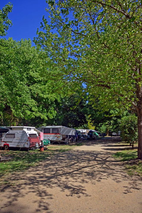 Ardern's Caravan Park, Myrtleford - QLD Tourism 1