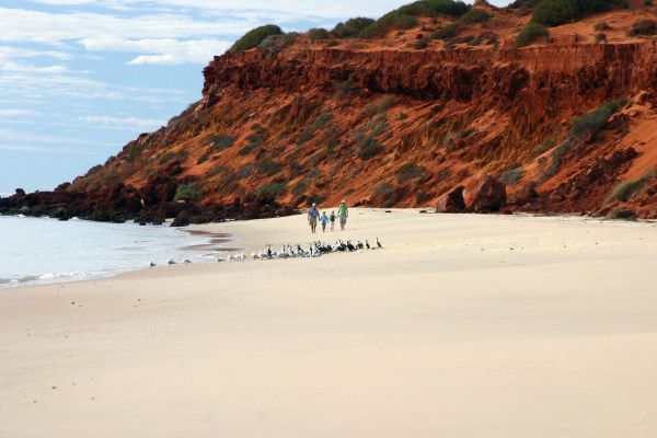 Francois Peron National Park WA QLD Tourism