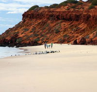 Herald Bight Camp at Francois Peron National Park - QLD Tourism