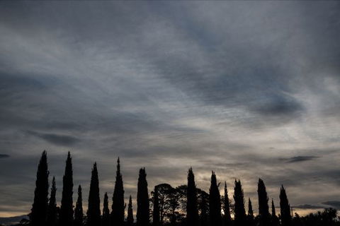 Piermont - Queensland Tourism 1