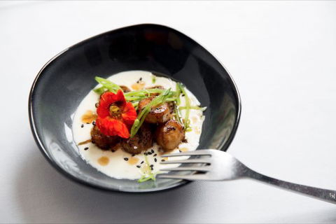 Piermont - Queensland Tourism 2