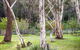 Fifth Avenue Guest House - thumb 2
