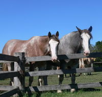 Clydesdale Motel and Steakhouse - QLD Tourism
