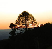 Bunya Mountains Accommodation Centre - Queensland Tourism