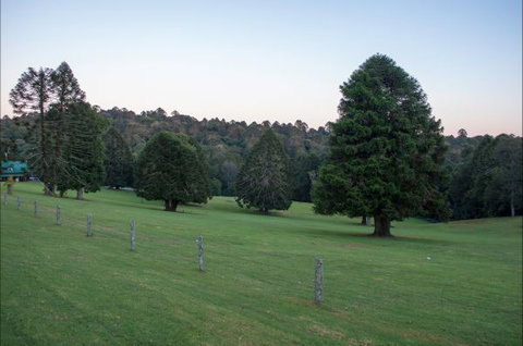 Bunya Mountains Accommodation Centre - Queensland Tourism 5