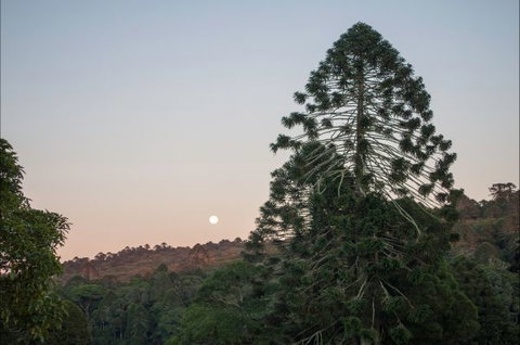 Bunya Mountains Accommodation Centre - Queensland Tourism 6