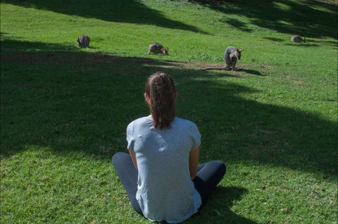 Bunya Mountains Accommodation Centre - Queensland Tourism 7