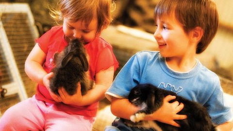 Macka's Farm - QLD Tourism 0