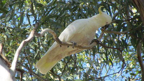 River Gardens Bed And Breakfast Farmstay - Queensland Tourism 1