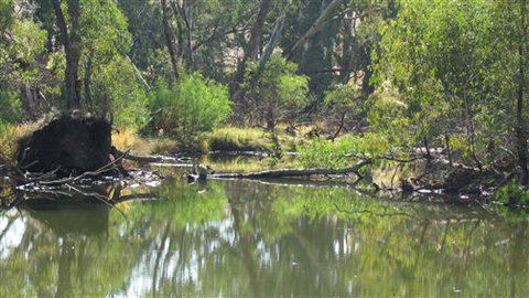River Gardens Bed And Breakfast Farmstay - Queensland Tourism 2