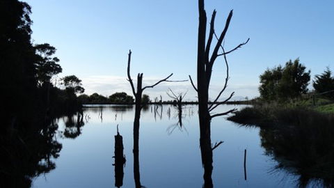 A Fare With Nature @ Prom Road Farm - QLD Tourism 6