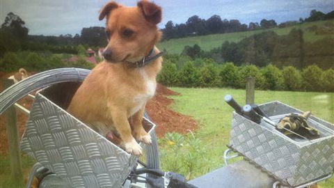 Farm Accommodation - QLD Tourism 1