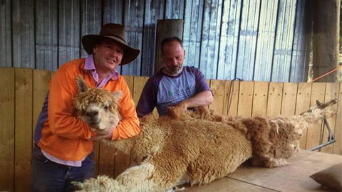 Farm Accommodation - QLD Tourism 3