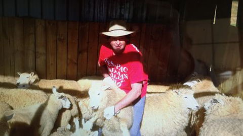 Farm Accommodation - QLD Tourism 2