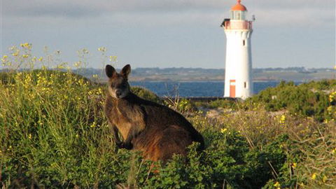 Port Fairy YHA - QLD Tourism 2