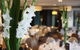 Lady Bay Resort - thumb 6