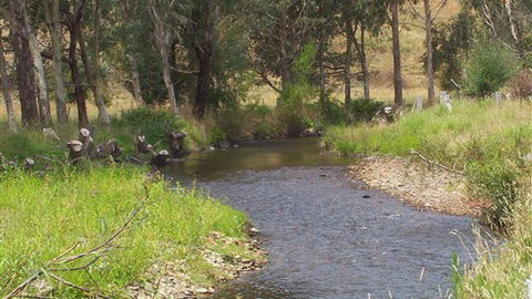 Murphy's Cabin - QLD Tourism 0