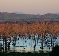 Salisbury - QLD Tourism