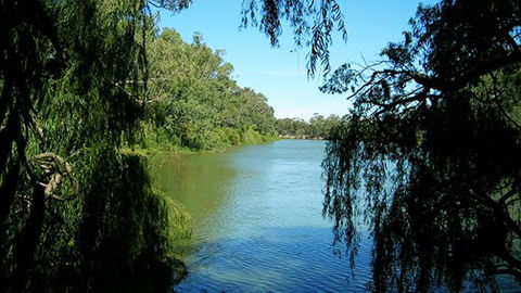 Perricoota Station - Queensland Tourism 2